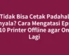 Tidak Bisa Cetak Padahal Menyala? Cara Mengatasi Epson L3110 Printer Offline agar Online Lagi