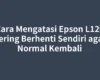 Cara Mengatasi Epson L120 Sering Berhenti Sendiri agar Normal Kembali