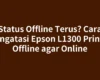 Status Offline Terus? Cara Mengatasi Epson L1300 Printer Offline agar Online