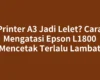 Printer A3 Jadi Lelet? Cara Mengatasi Epson L1800 Mencetak Terlalu Lambat