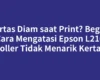 Kertas Diam saat Print? Begini Cara Mengatasi Epson L210 Roller Tidak Menarik Kertas