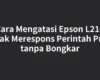 Cara Mengatasi Epson L210 Tidak Merespons Perintah Print tanpa Bongkar