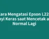 Cara Mengatasi Epson L220 Bunyi Keras saat Mencetak agar Normal Lagi