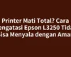 Printer Mati Total? Cara Mengatasi Epson L3250 Tidak Bisa Menyala dengan Aman