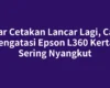 Agar Cetakan Lancar Lagi, Cara Mengatasi Epson L360 Kertas Sering Nyangkut