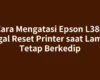 Cara Mengatasi Epson L380 Gagal Reset Printer saat Lampu Tetap Berkedip