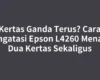Kertas Ganda Terus? Cara Mengatasi Epson L4260 Menarik Dua Kertas Sekaligus