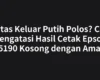 Kertas Keluar Putih Polos? Cara Mengatasi Hasil Cetak Epson L5190 Kosong dengan Aman